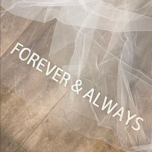 Anthropologie White Bridal Veil by society James